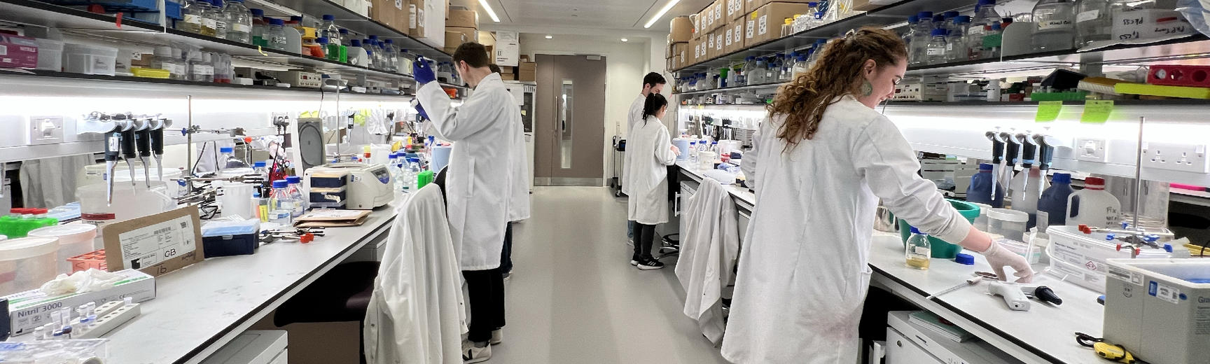 biochemistry researchers working in the lab