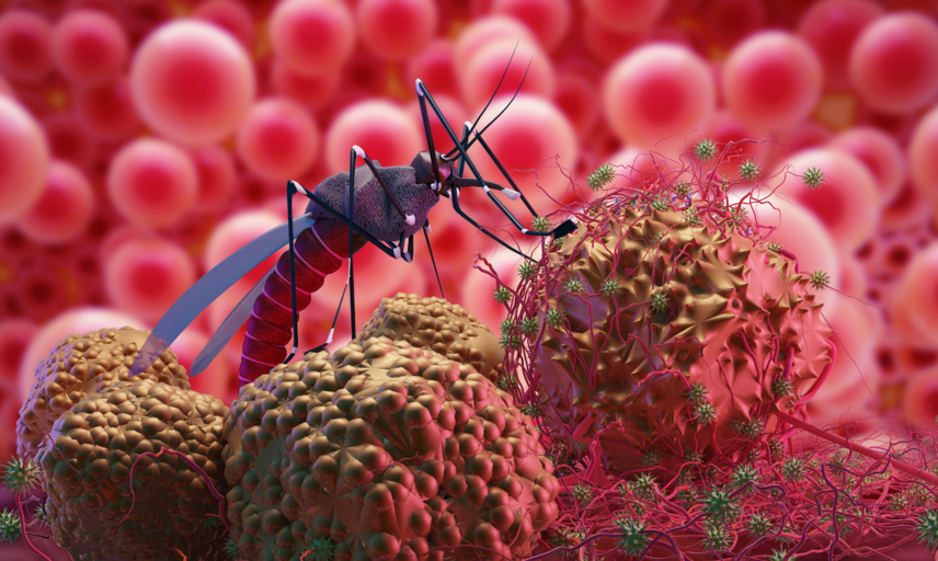an image of a mosquito standing on blood molecules.