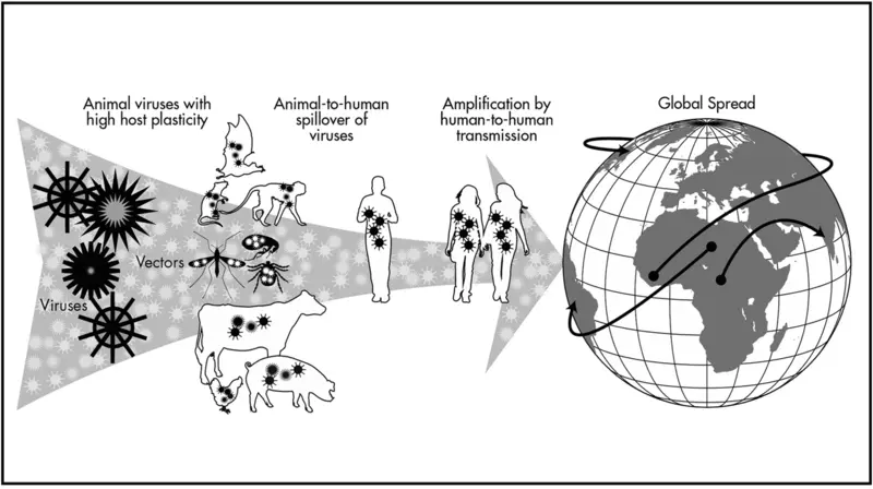 Pandemic properties of zoonotic viruses that spill over from animals to humans and spread by secondary transmission among humans.