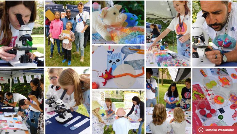 A photo collage from the event